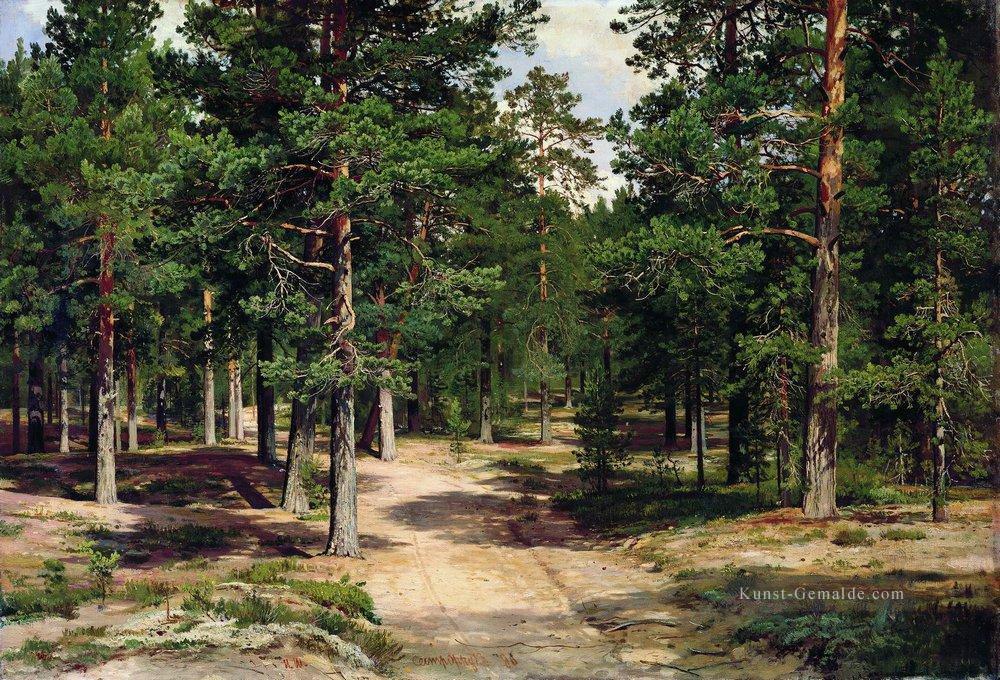 die sestroretsk bor 1896 klassische Landschaft Ivan Ivanovich Bäume Ölgemälde